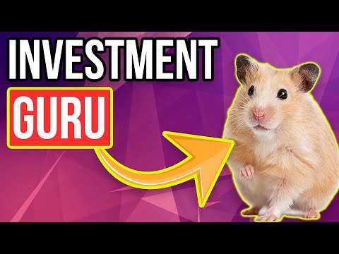 A Crypto investing HAMSTER beat Warren Buffet, Nasdaq, S&amp;P 500 etc. (MR Goxx)