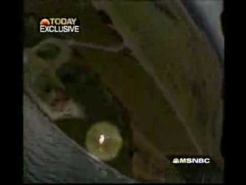 Parachutist Survives 15000 Foot Drop
