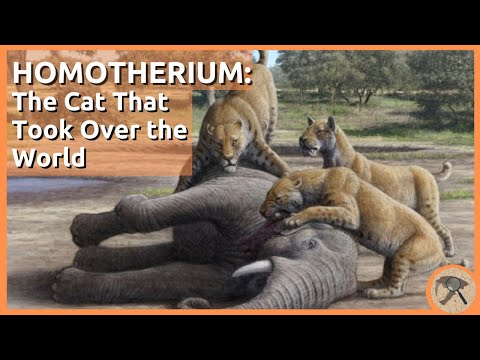 Homotherium: The Cat That Took Over the World