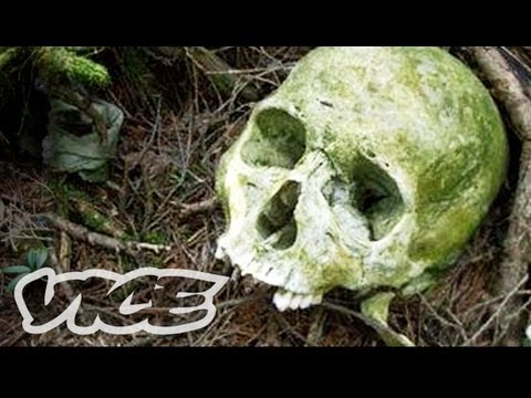 Suicide Forest in Japan (Full Documentary)