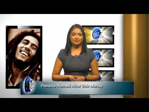 Parasite Named After Bob Marley