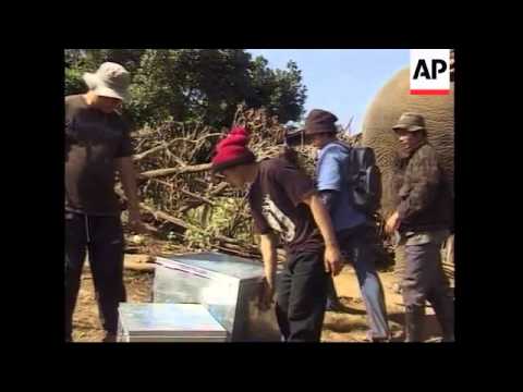 Elephants help combat illiteracy in rural Thailand