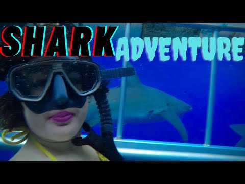 UNBELIEVABLE 🦈 Getting into the SHARK CAGE | Haleiwa Oahu Hawaii | North Shore Shark Adventures