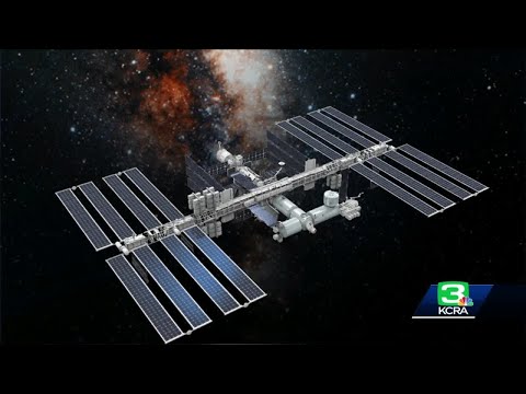 Space lettuce: UC Davis engineering plants to correct bone loss during space travel