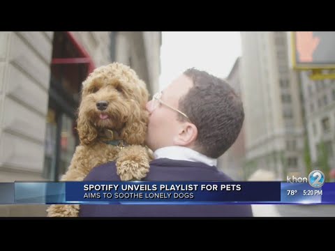Spotify&#039;s new &quot;My Dog&#039;s Favourite Podcast&quot; curated for lonely dogs