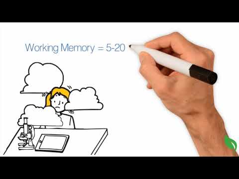 How Does Human Memory Work?
