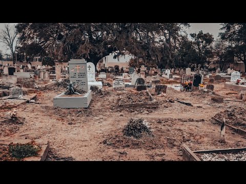 Cemetery Unlike Any Other in New Orleans | Holt Cemetery