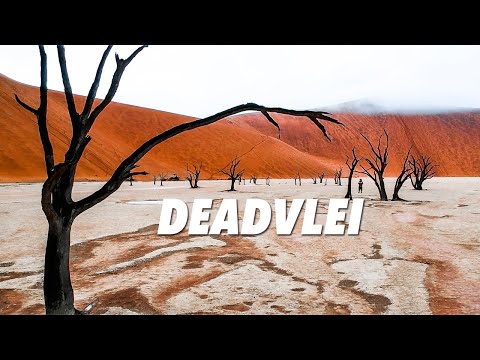 DEADVLEI - The most SURREAL place on EARTH