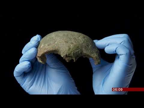 River Thames skull goes on display (UK) - BBC News - 20th February 2019