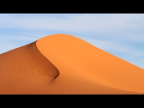The Sahara desert | Ecosystems