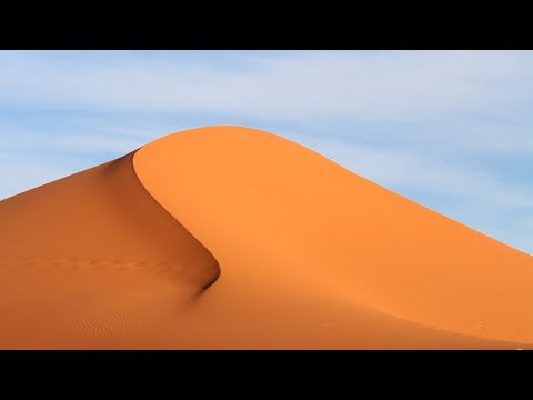 The Sahara desert | Ecosystems