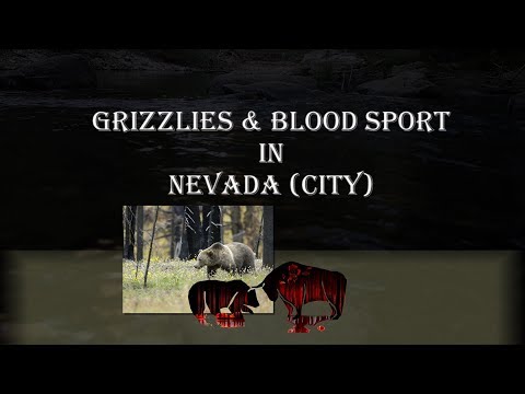Bear and Bull Fight in Nevada City