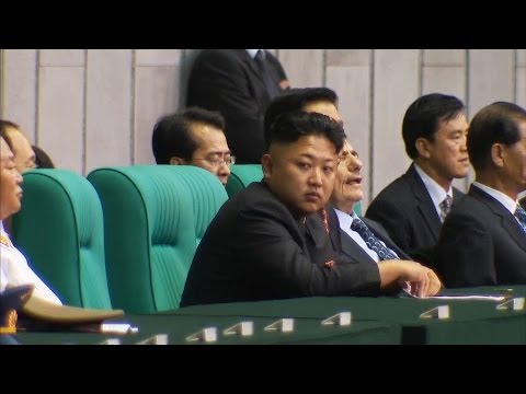 Kim Jong-Un Official Laughs As He Says Leader&#039;s Uncle Was Shot, Not Torn Apart By Dogs