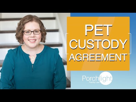 How to Create a Pet Custody Agreement | Porchlight Legal