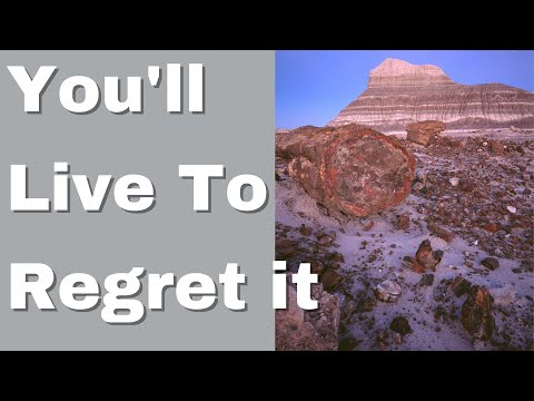 The Curse of Escalante Petrified Forest