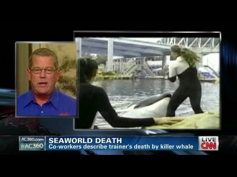 SeaWorld trainers describe death details