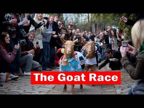 This goat race supports a local farm | Time Out London