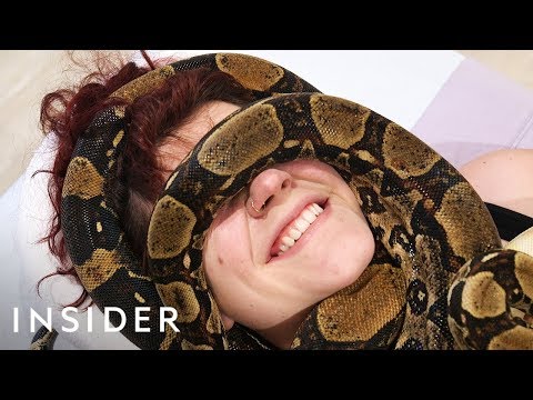 You Can Get Snakes To Massage You