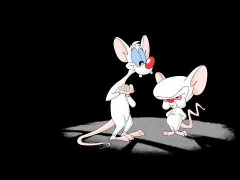 Pinky and the Brain Theme Song Intro HQ with Lyrics