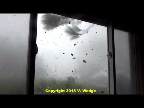 Cat 5 Hurricane Michael [Callaway, Florida]