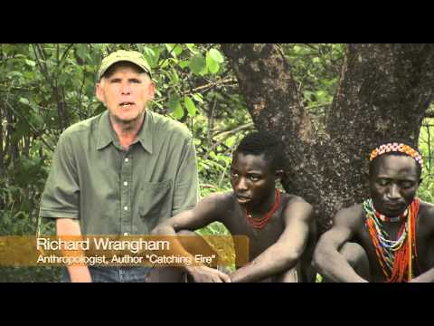 The Hadza: Last of the First - Honeyguide Bird