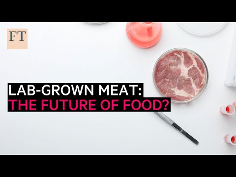 Lab-grown meat: The future of food? | FT Food Revolution