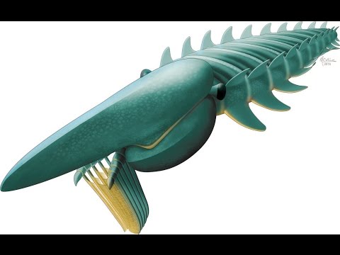 10 Recently Described Extinct Animals - 80