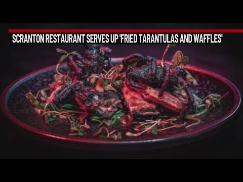 Fried Tarantulas and Waffles