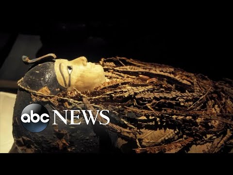 Egypt digitally &#039;unwraps&#039; mummy of King Amenhotep l ABC News