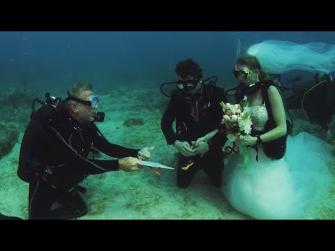 Scuba-Diving Couple Gets Married in Underwater Wedding