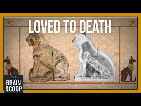 Why were Ancient Egyptians obsessed with cats?