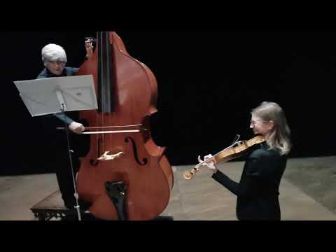 Octobass VS Violin