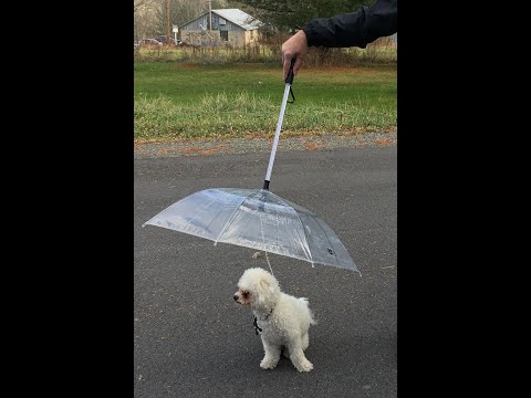 LESYPET Dog Umbrella with Leash Pet Adjustable Umbrella for Small Dogs