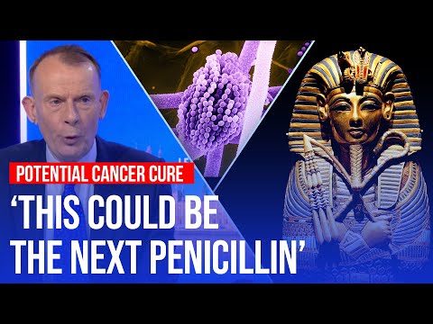 How a &#039;deadly fungus&#039; in Tutankhamun&#039;s tomb could be a cure for cancer | LBC