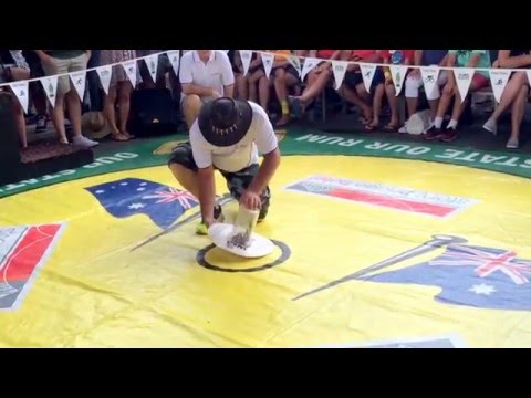 The cockroach race Australia day 2016 Brisbane