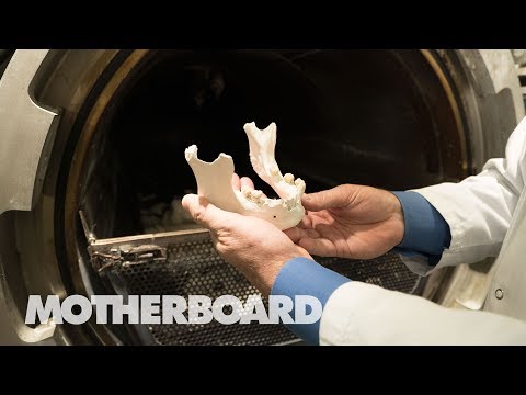 Leaving Earth the Greenest Way Possible: Water Cremation