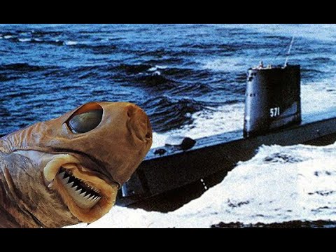 Ten Times the Military Fought Sea Creatures - 39