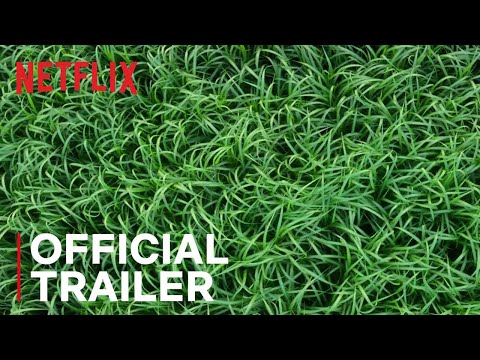 In the Tall Grass | Official Trailer | Netflix