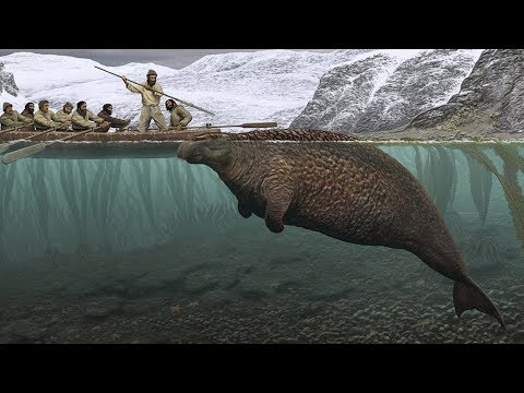 A Giant Extinct Sea Cow