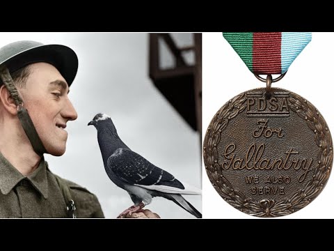 GI Joe - US Hero Saved 1,000 British Soldiers