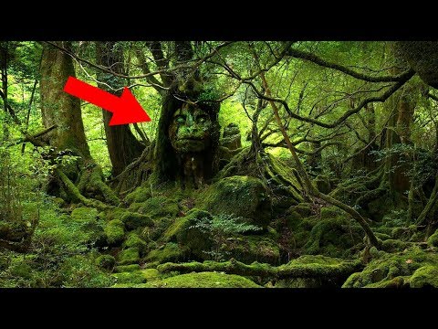 Most MYSTERIOUS South American Legends!