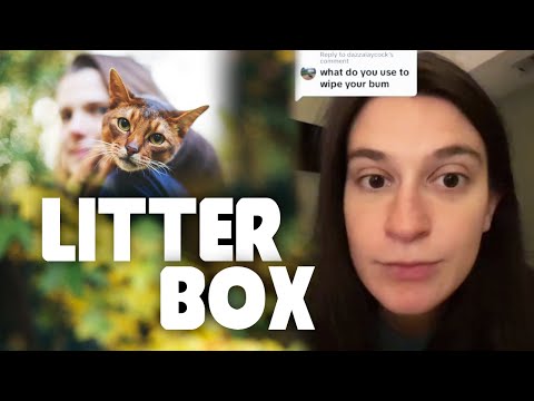 WW Says She Doesn&#039;t Wipe Her Bum After Using The Litter Box