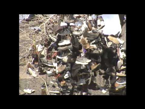 Middlegate NV Shoe Tree - Nevada 150th