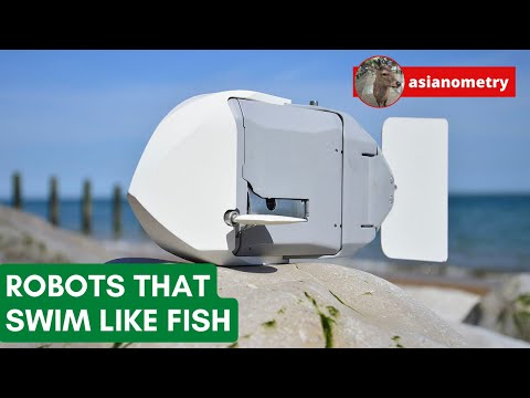 The Robots That Swim Like Fish