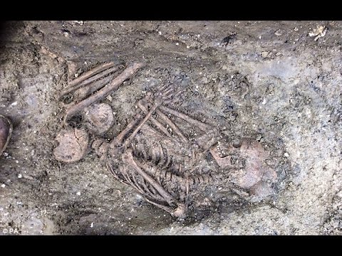 A medieval skeleton has been found hanging from the roots of a tree in Ireland