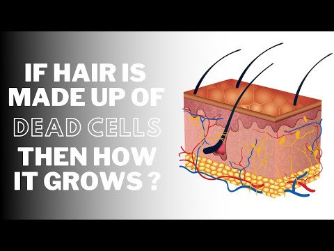 If hair is made of dead cells then how it GROWS ?