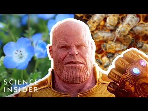 What If Thanos Really Had Eliminated 50% Of All Life, Like In &#039;Avengers: Infinity War&#039;