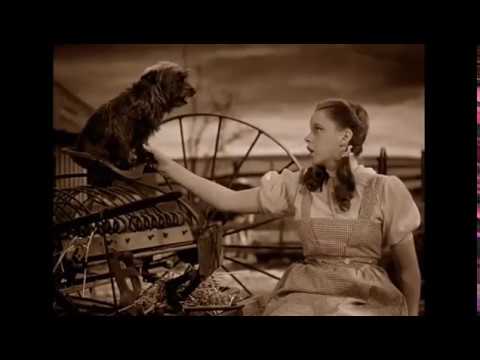 THE WIZARD OF OZ (&#039;39): &quot;Over the Rainbow&quot;