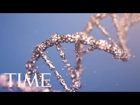 There&#039;s No Such Thing As A &#039;Gay Gene,&#039; A New Study Argues | TIME