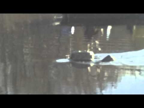 Full Scale &quot;TURTLE&quot; Revolutionary War Submarine Replica - Test #1